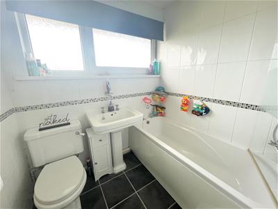 Picture 13